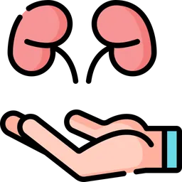 KOAIT kidney